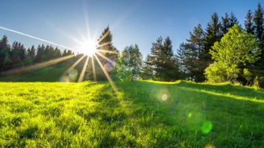 Sihirli gündoğumu, altın sabahta, ilkbaharda orman manzarasında taze yeşil çimenli çayırların üzerinde..