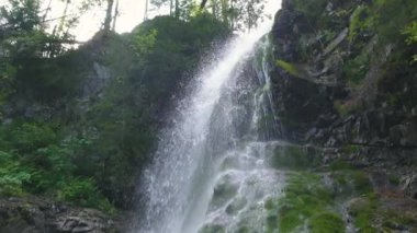 Büyük şelalenin yavaş akışı, su düşüşü ve yosunlu ilkbaharda yeşil ormana sıçraması. Eğik çekim, huzurlu doğal arkaplan.