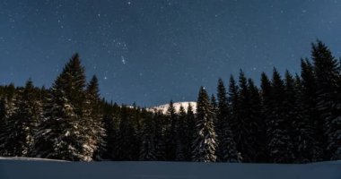 Mavi yıldızlı gece gökyüzü. Yıldızlar donmuş kış ormanlarında hareket ediyor. Karlı dağlarda. Açık hava macera arka planı, Yavaş yakınlaş, Astronomi Zaman Hızı