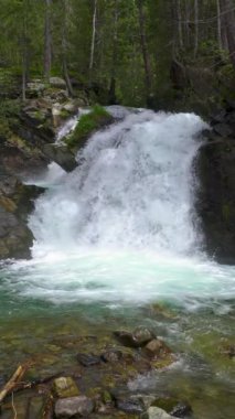 Avusturya 'daki Tirol Alpleri' nin huzurlu orman doğasında, dağdaki küçük şelalenin yavaş hareketi, sosyal medya hikayesi için dikey video.