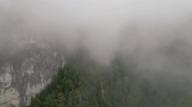 Hava manzarası gizemli kayalık orman dağlarında geriye doğru uçar. Sisli bulutların arasında gizlidir. Mistik sonbahar doğasının üzerinde uçarak vahşi doğada ulusal park doğal manzarası.