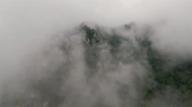 Sisli bulutlarda gizlenmiş gizemli orman dağlarının havadan görünüşü. Vahşi doğanın üzerinde uç ilkel orman arka planının doğası