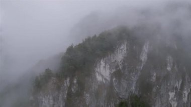 Ormandaki sisli dağların üzerinden uç. Sisli bulutların arasına gizlen. Kasvetli vahşi doğada.
