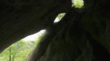 View from the dragon hole cave in green spring forest, peaceful natural lighting.