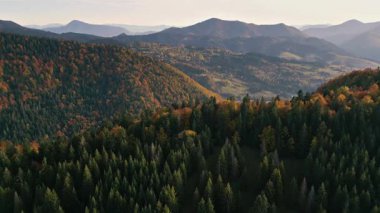 Avrupa 'nın sonbahar ormanlarının arkasındaki renkli güneşli havadan manzarası. Gerçek doğal manzara, değil mi?