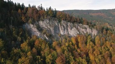 Sonbahar ormanlarında kayalık kayalıkların üzerinden uçmak doğanın ötesinde saklı olan kırsal alanı ortaya çıkarır. Gerçek doğal manzara, ai olmayan görüntüler..
