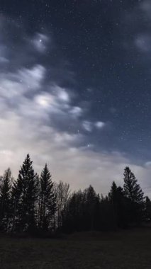 Milyonlarca yıldız ve yumuşak bulutla dolu mavi yıldızlı gece gökyüzünün huzurlu dikey görüntüsü sakin bir orman doğasının üzerinde hareket ediyor, Astronomi zamanı sosyal medya için ideal.