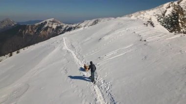 Karpatlar 'da karlı bir tepede köpeğiyle sıçrayan bir adam. Açık mavi gökyüzü altında nefes kesen kış manzarası, doğa maceraları, seyahatler ve dağcılık için mükemmel.. 