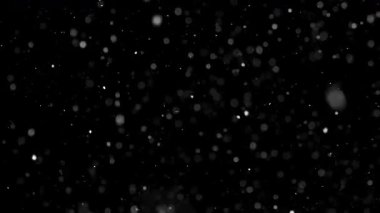 Siyah arka planda hafif kar yağıyor. Video montajı, Noel projeleri ya da barışçıl atmosfer sahneleri için ideal kış örtüsü. Yüksek çözünürlüklü 4k görüntü, ekran olarak basit harmanlama, hafiflet veya ekle.