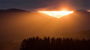 Huzurlu günbatımında güneş ışığının altın ışığı yaz akşamı manzarası ve orman silueti ön planda. Zaman aşımı, yukarı eğ. 