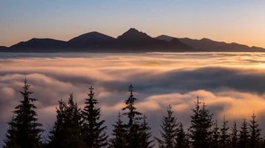 Alp dağlarında gün batımının altın renkleri orman manzarasında sisli bulutlar. Doğal gücün zaman aşımına uğradığı günden geceye, yakınlaş, yukarı eğ 