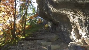 Güzel sabah güneşi sonbahar ağaçlarının arasında kayalık bir duvarın yanında parlıyor. Altın saat ışığında orman yürüyüşü yolu, turizm, macera, ilham, ya da doğal rahatlama sahneleri için mükemmel..