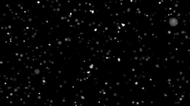 Siyah zemine düşen gerçek kar taneleri. Soğuk doğada kar yağıyor. Video düzenleme, festival sahneleri veya hava durumu atmosferik mevsimsel geçişlerinde bileşim için kış örtüsü kar etkisi. 