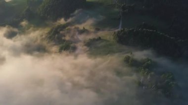 Güneşin doğuşunda sisli bir orman vadisinde sakin bir hava görüntüsü. Sabah ışığı ve sürüklenen sis rahatlatıcı, rüya gibi bir atmosfer yaratır. Belgeseller, tanıtımlar ve doğa sahneleri için ideal. 