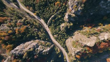 Virajlı bir yolun hava manzaralı manzarası. Dağlardaki canlı sonbahar ormanlarından geçen arabalar. Renkli doğa ve kayalık arazinin tepeden tırnağa görüntüsü. Seyahat için mükemmel.