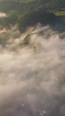 Yoğun yeşil ormanın üzerinde yuvarlanan sisin dikey hava görüntüleri. Huzurlu doğal atmosfer, hikaye anlatmak için ideal, çevresel görseller, veya mobil sosyal medya içeriği.