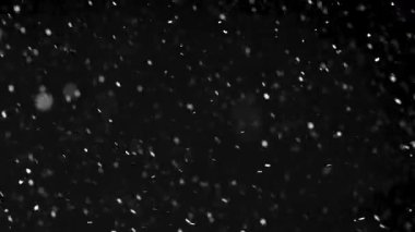 Siyah zemine şiddetli kar yağıyor. Kış örtüleri, görsel efektler, hareket tasarımı veya Noel temalı projeler için mükemmel. 