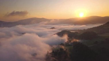 Sisli orman dağlarının üzerinde güneşin doğuşunun göz kamaştırıcı manzarası. Kalın sis ve altın ışık sakin ve sinematik bir sahne yaratır. Barışçıl doğa, seyahat ya da doğal içerik için rahatlama için mükemmel.. 