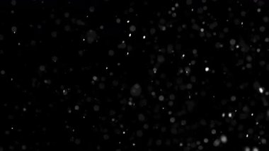 Siyah zemine gerçek kar yağıyor. Sinema ve video üretiminde doğal kar, hareketli grafikler veya kış temalı sahneler için mükemmel.