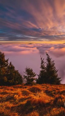 Sonbahar doğasında gün batımında sisli bir dağ manzarasının dikey hızlandırılması. Yumuşak sis ağaçların ve tepelerin üzerinde yuvarlanır, altın ışıkla yıkanır. Rüya gibi, huzurlu ve gizemli doğal manzara ideal.