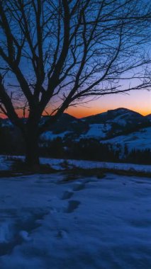 Dikey zaman atlaması Alp tepeleri üzerinde sakin bir kış gündoğumunu gösteriyor. Çıplak ağaç dalları, yumuşak kar ve parlayan gökyüzü boyunca uzanan güneş ışığı açık hava için huzurlu ve renkli bir dağ manzarası yaratır.