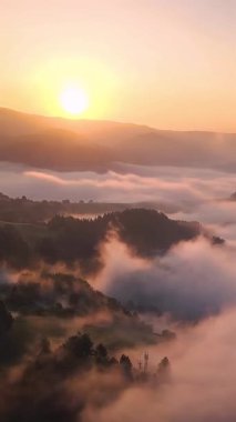 Sisli manzaranın üzerinde sakin bir gün doğumu ve dikey sinematik dron görüntüsüyle yakalanan ormanlar. Altın sabah ışığı ve hareket eden sis rüya gibi, huzurlu bir atmosfer yaratır. Doğa ve hava için ideal.