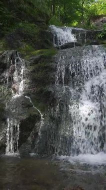 Bir dağ şelalesinin sakin dikey görüntüsü ve kristal berrak akıntısı yosunlu kayaların üzerinde çağlıyor. Doğa geçmişi, sağlık içeriği veya sosyal medya görselleri için ideal. 