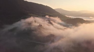 Hava manzarası sisle kaplı sisli bir orman manzarasını gösteriyor. Sakin, altın bir gündoğumu sırasında. Rahatlama, sakinleşme, gizem ve barışçıl doğal görseller için ideal sakin bir sabah manzarası..