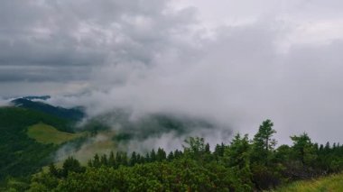 Yağmurlu bir günde sisle kaplanmış yeşil orman tepeleri ve alçak asılı bulutlar manzarası. Uzak, el değmemiş bir dağ ortamında doğanın sakin ve mistik havasını yakalar.. 
