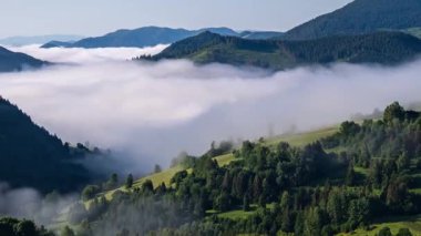 Sis ve alçak bulutlar Alp Dağı Vadisi 'nde hızla ilerliyor. Ormanlık tepeleri ve kırsal manzarası olan puslu bir doğa. Atmosferik ve barışçıl doğal manzara.