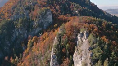 Rocky uçurumları güneşli sonbahar dağlarının doğasında renkli bir ormanla çevrilidir. Canlı yaprakları ve barışçıl doğal dokuları olan manzaralı bir yer. Sinematik hava yatay görünümü. 