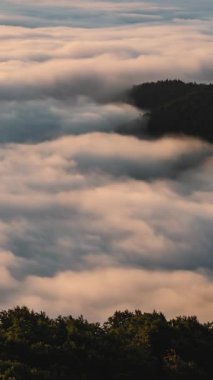 Sisli bulutların dikey zaman akışı sisli bir orman vadisinde, renkli gündoğumunda dalgalar gibi akıyor. Huzurlu, atmosferik bir arka plan. Ağaçları, yumuşak ışığı ve bulutlardan oluşan sakin bir denizi gösteriyor.