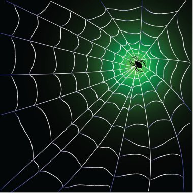 Siyah arkaplan dizaynı üzerinde örümcek ağı; vektör illüstrasyonu 