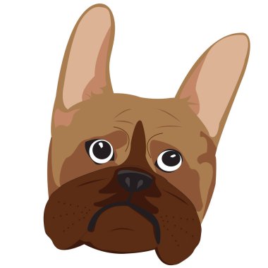 Fransız bulldog baş illüstrasyonu; Herhangi bir yüzeyde yazdırmak için görüntü