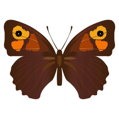 Artistic isolated brown butterfly  clipart