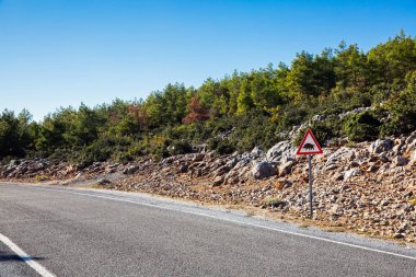 Dikkat dikkat, yaban domuzu, hayvanlar. Yol güvenliği kavramı.