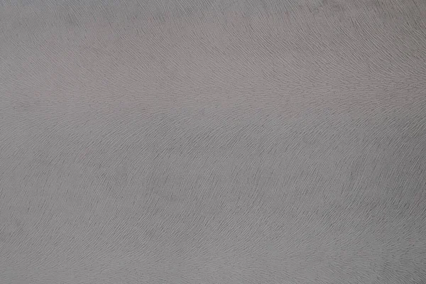 Tekstura Szarej Tkaniny Imitacja Sierści Zwierzęcej Streszczenie Szarego Tła — Zdjęcie stockowe