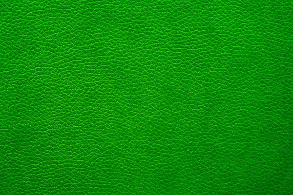 Textura Couro Grão Verde Como Fundo Pele Cobra Material Natural — Fotografia de Stock