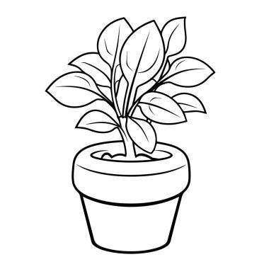 Fesleğen ana hatlı ikon vektörümüzü kullanarak aşçılık yaratıcılığını arttır.