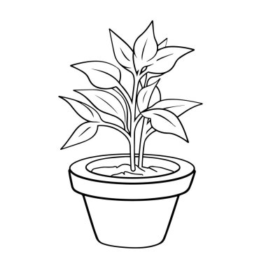 Fesleğen ana hatlı ikon vektörümüzü kullanarak aşçılık yaratıcılığını arttır.