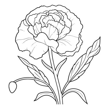 Botanik projeleri için ideal bir karanfil ana hatları simgesinin vektör illüstrasyonu.