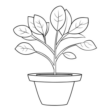 Minimalist bir fasulye ana hatları ikonunun vektör çizimi, bahçe projeleri için ideal.