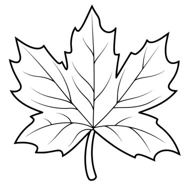 Minimalist bir akçaağaç yaprağı ana hatlı ikonun vektör çizimi, sonbahar için mükemmel.