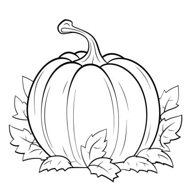 Minimalist bir balkabağı taslak simgesinin vektör illüstrasyonu, mevsimsel temalar için mükemmel.