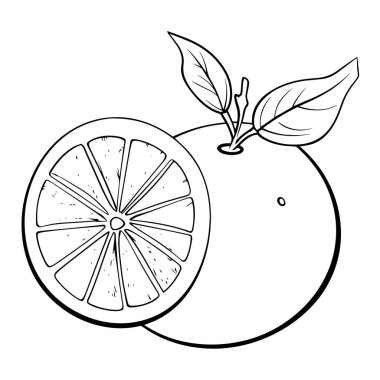 Turuncu çizgili minimalist bir ikonun vektör illüstrasyonu, narenciye teması için ideal.
