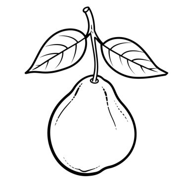 Minimalist bir armut taslak simgesinin vektör çizimi, sağlıklı yemek için mükemmel..