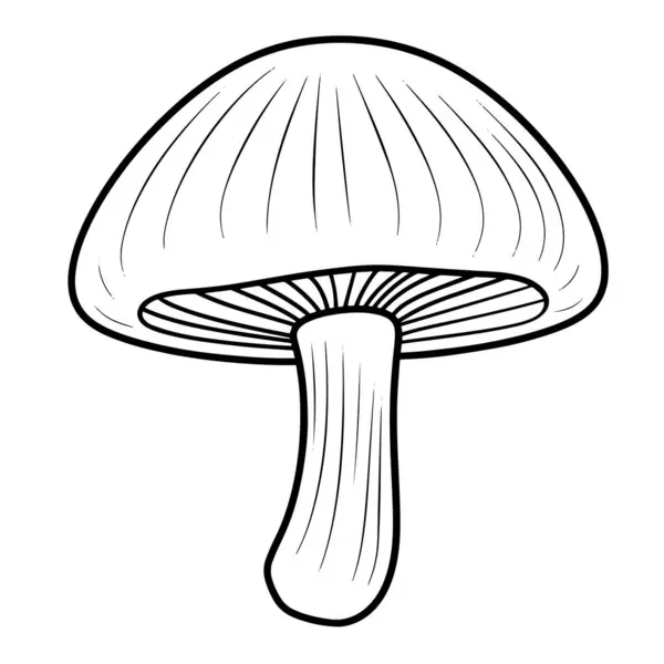 Orman temaları için ideal bir minimalist mantar ana hatları simgesinin vektör çizimi.