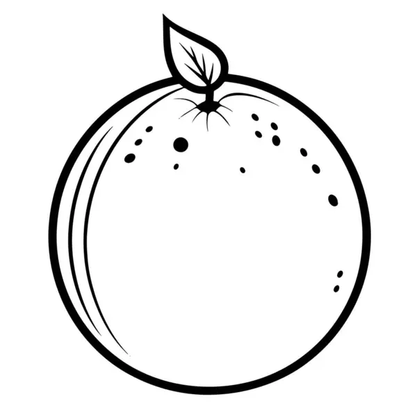 Minimalistická Ikona Ovoce Yuzu Elegantním Vektorovém Formátu — Stockový vektor