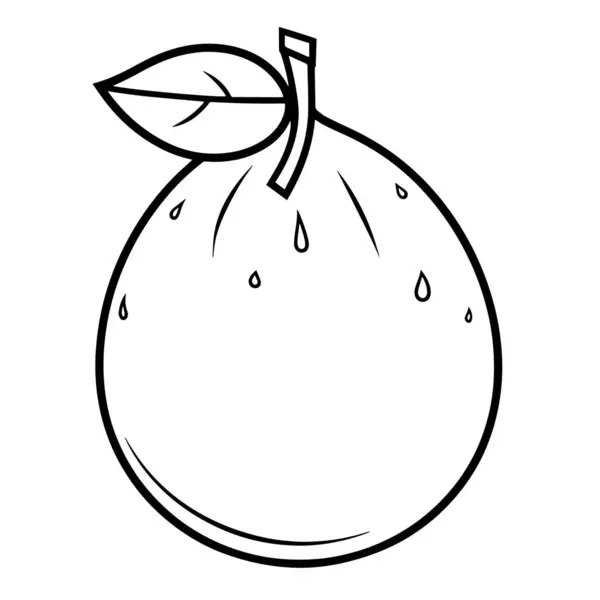 Μινιμαλιστικό Εικονίδιο Φρούτων Yuzu Κομψή Διανυσματική Μορφή — Διανυσματικό Αρχείο