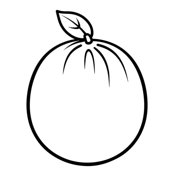 Icono Fruta Yuzu Minimalista Formato Vectorial Elegante — Vector de stock